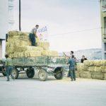 Montando el circuito